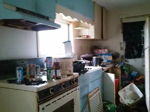 463 Sheridan, Vanderbilt, MI 49795 photo 7