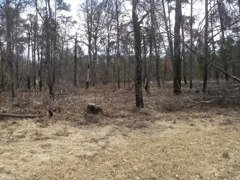402 Timber Trail Grayling Mi 49738 Trl, Grayling, MI 49738 photo 9