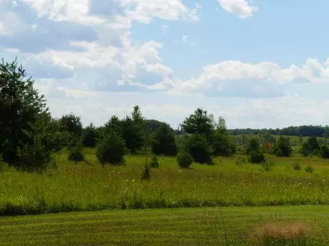 2376 Maier Road Mio Mi 48647 Rd, Mio, MI 48647 photo 4