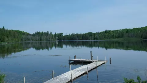 4000 Lance Lake Rd, Wolverine, MI 49799 photo 2
