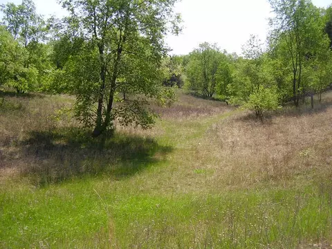 463 Boerner Rd, Mio, MI 48647 photo 21