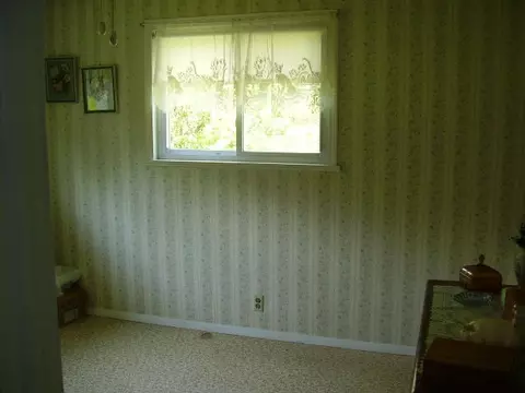 463 Boerner Rd, Mio, MI 48647 photo 11