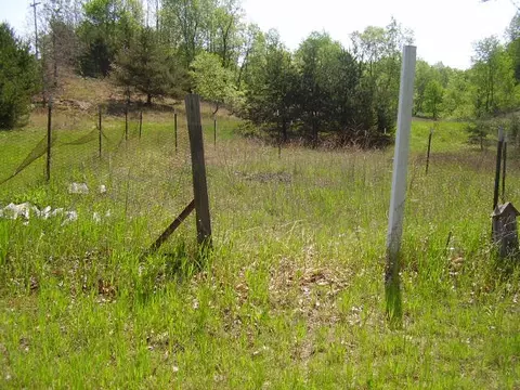 463 Boerner Rd, Mio, MI 48647 photo 20