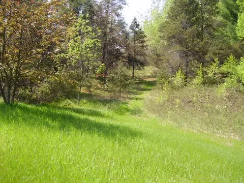 463 Boerner Rd, Mio, MI 48647 photo 22
