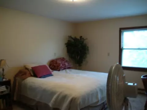 33 E Marlette Rd, Frederic, MI 49733 photo 10