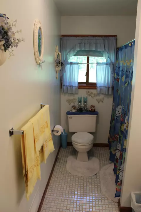 8202 Devils Elbow Dr, Brutus, MI 49716 photo 16