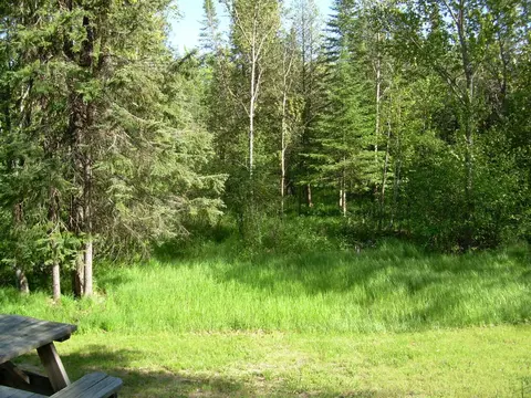 6175 Sam Rd, Grayling, MI 49738 photo 17