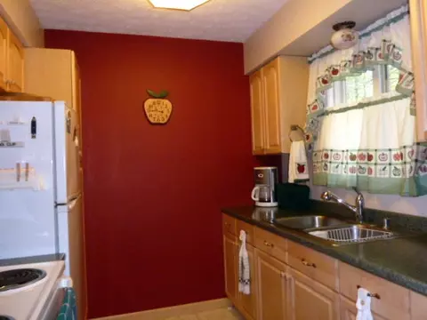 16885 Timberline Drive Wolverine Mi 49799 Dr, Wolverine, MI 49799 photo 6