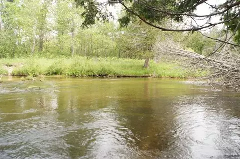 8603 Partridge Roost, Frederic, MI 49733 photo 29