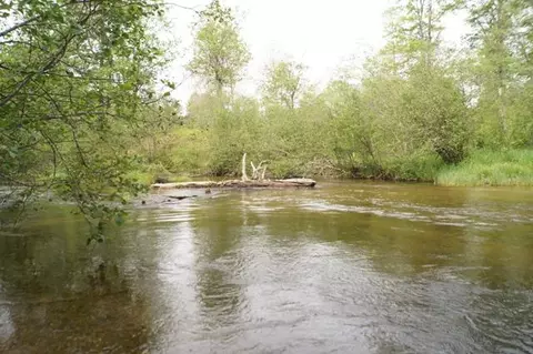 8603 Partridge Roost, Frederic, MI 49733 photo 28