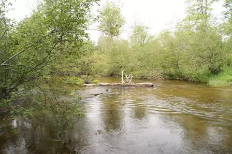 8603 Partridge Roost, Frederic, MI 49733 photo 27