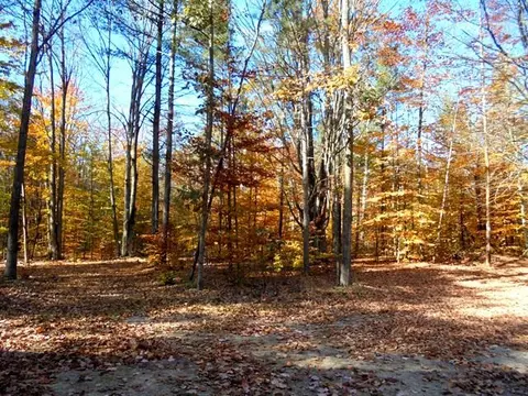1690 Reber Rd, Comins, MI 48619 photo 20