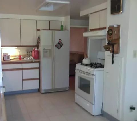 14503 Molineaux Road Wolverine Mi 49799 Rd, Wolverine, MI 49799 photo 4