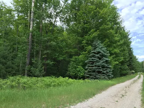 4372 Prevo Road Herron Mi 49744 Rd, Herron, MI 49744 photo 34