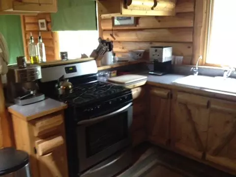 15624 Cricket Trl, Wolverine, MI 49799 photo 2
