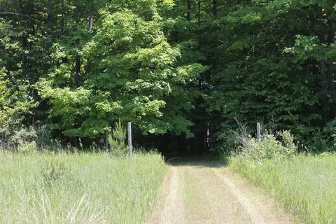 10533 Scott Road Wolverine Mi 49799 Rd, Wolverine, MI 49799 photo 22