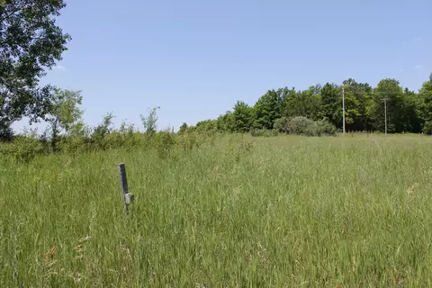 10533 Scott Road Wolverine Mi 49799 Rd, Wolverine, MI 49799 photo 23