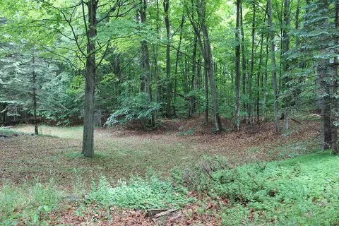 10533 Scott Road Wolverine Mi 49799 Rd, Wolverine, MI 49799 photo 15