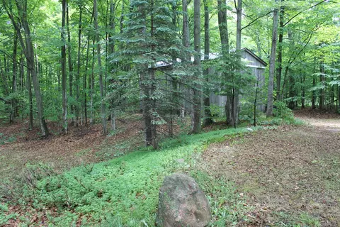 10533 Scott Road Wolverine Mi 49799 Rd, Wolverine, MI 49799 photo 16