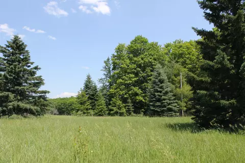10533 Scott Road Wolverine Mi 49799 Rd, Wolverine, MI 49799 photo 24