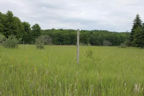 10533 Scott Road Wolverine Mi 49799 Rd, Wolverine, MI 49799 photo 26