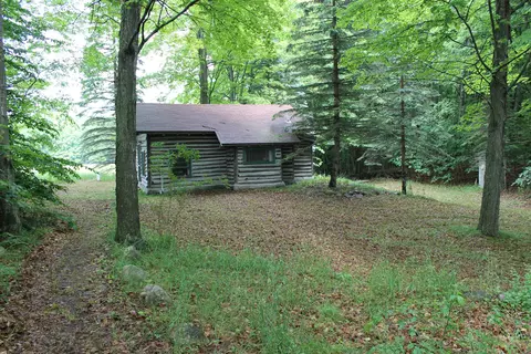 10533 Scott Road Wolverine Mi 49799 Rd, Wolverine, MI 49799 photo 3