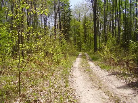 5609 N Abbe Rd, Comins, MI 48619 photo 28