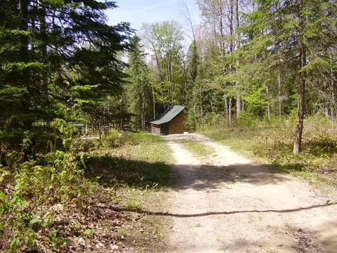 5609 N Abbe Rd, Comins, MI 48619 photo 16