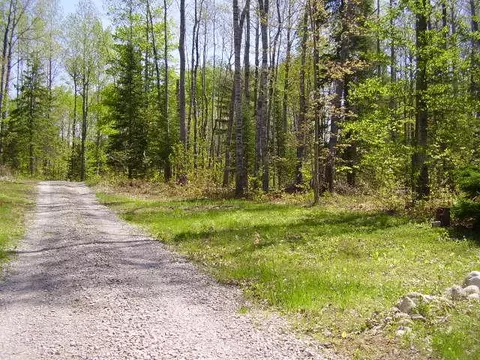 5609 N Abbe Rd, Comins, MI 48619 photo 30