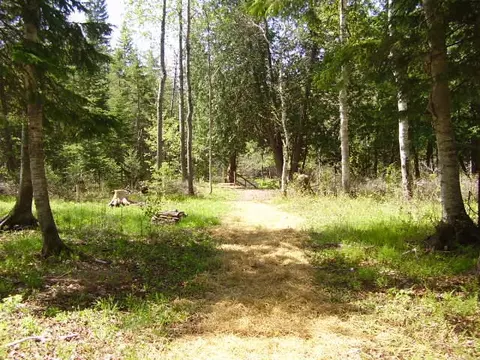 5609 N Abbe Rd, Comins, MI 48619 photo 26