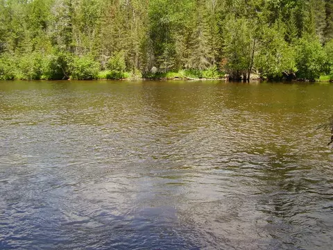 128 Mapes Rd, Luzerne, MI 48636 photo 22
