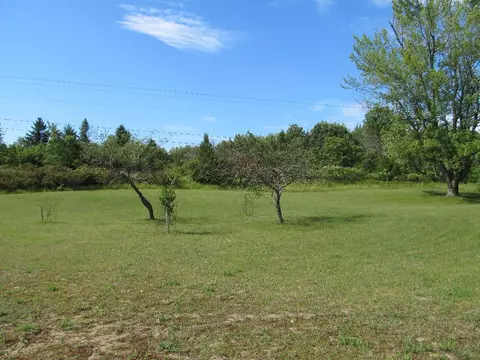 5960 Werth Rd, Alpena, MI 49707 photo 25