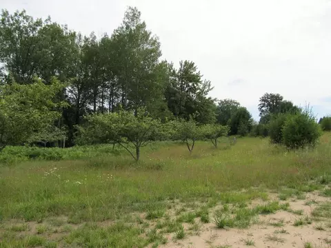 5960 Werth Rd, Alpena, MI 49707 photo 27