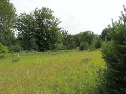 5960 Werth Rd, Alpena, MI 49707 photo 26