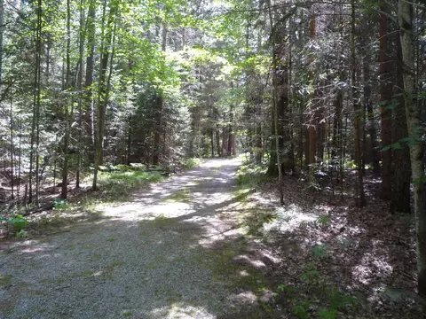 1399 Gingerquill Drive Grayling Mi 49738 Dr, Grayling, MI 49738 photo 4