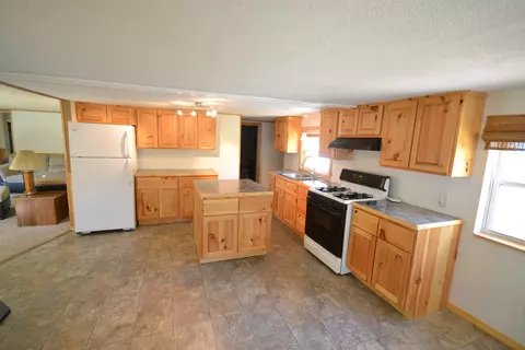 157 E Cherry Creek Rd, Mio, MI 48647 photo 2