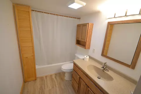 157 E Cherry Creek Rd, Mio, MI 48647 photo 9