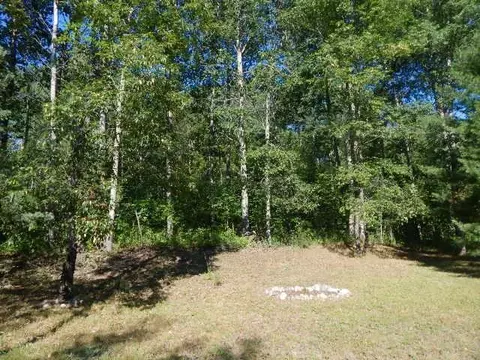 6515 Whitehouse Trl, Vanderbilt, MI 49795 photo 8