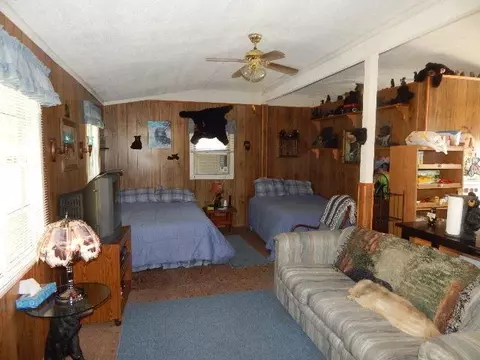 6515 Whitehouse Trl, Vanderbilt, MI 49795 photo 9