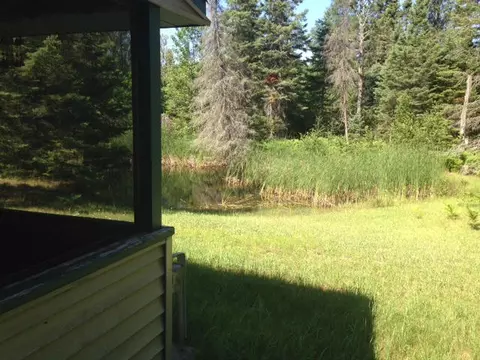470 Antler, Wolverine, MI 49799 photo 8