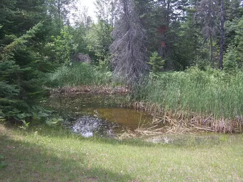 470 Antler, Wolverine, MI 49799 photo 21