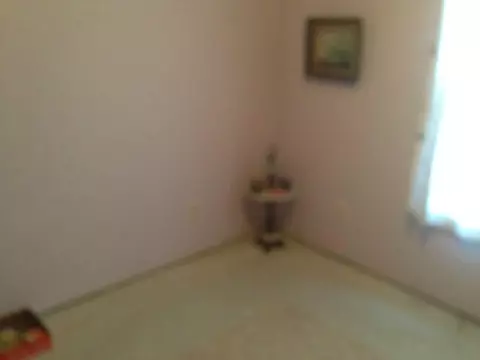470 Antler, Wolverine, MI 49799 photo 11