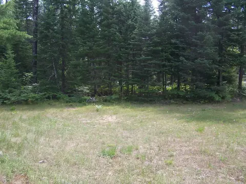 470 Antler, Wolverine, MI 49799 photo 22