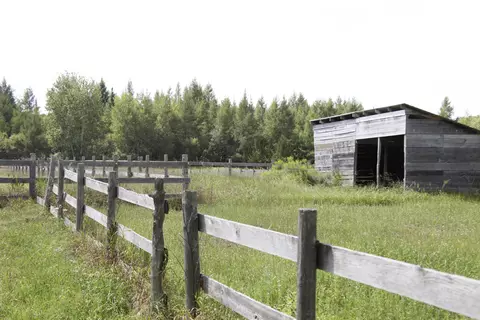 4259 Webb Rd, Wolverine, MI 49799 photo 22