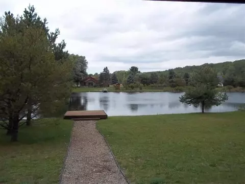 6452 Rondo Rd, Wolverine, MI 49799 photo 12