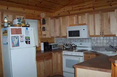 6452 Rondo Rd, Wolverine, MI 49799 photo 19