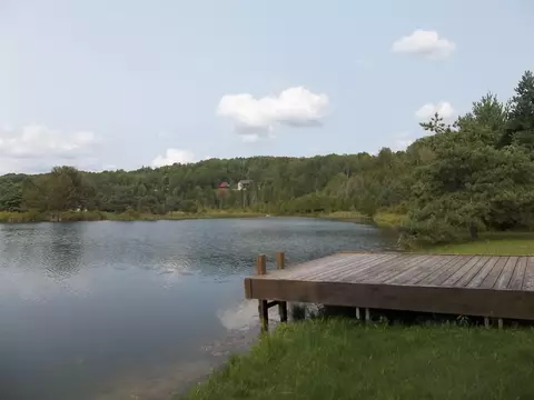 6452 Rondo Rd, Wolverine, MI 49799 photo 2