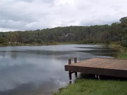 6452 Rondo Rd, Wolverine, MI 49799 photo 10
