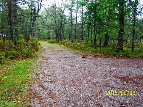 685 N Point Drive Grayling Mi 49738 Dr, Grayling, MI 49738 photo 24