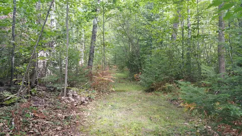 720 Algonquin Trl, Mio, MI 48647 photo 24